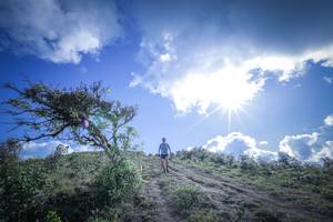 BIB: 
                            <button type="button" onclick="openModal(15955502)" class="btn btn-primary btn-sm float-right btn-popup" data-toggle="modal" data-target=".modal-high-quality">
                        <i class="fas fa-shopping-cart"></i> Add to Cart
                    </button>
                                            <button type="button" onclick="isThisMe(15955502, true)" class="btn btn-success btn-sm float-right btn-popup btn-isme hidden" data-toggle="tooltip" data-placement="bottom" title="นี่คือรูปของคุณใช่ไหม คลิกที่นี่เพื่อเอาเข้าอัลบั้ม">
                        <i class="fas fa-plus"></i> Add to album
                    </button>
                    <button type="button" onclick="isThisMe(15955502, false)" class="btn btn-warning btn-sm float-right btn-popup btn-isnotme hidden">
                        <i class="fas fa-ban"></i> Remove from album
                    </button>